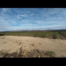 Riesige Olivenbaumplantagen